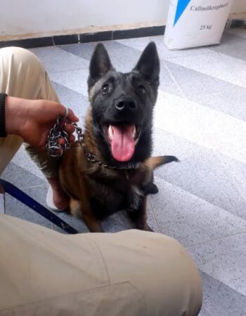 Cabinet vétérinaire el Makkam