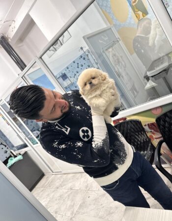 Clinique Vétérinaire Des 4 Pattes