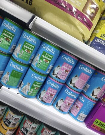 Animalerie king Oran 