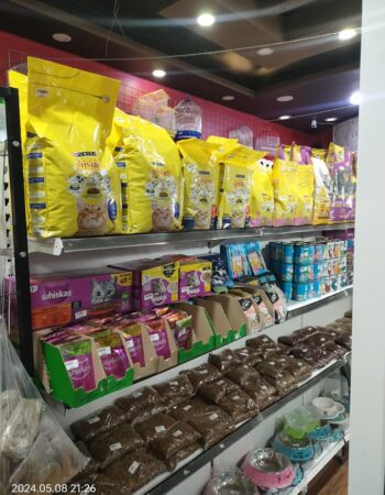 Animalerie king Oran 