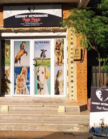 Vet Petit Paris